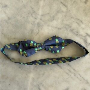 Crewcuts Silk Blue Bow Tie with Pineapple Design L/XL